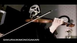played with violin SAKURA  Ikimono gakari