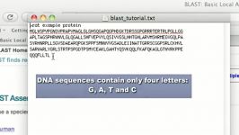 انجام Blast برای توالی پروتئین dna در سایت NCBI