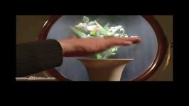ویدئوی تصویر گل در آینه مقعر
