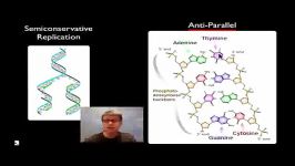 فیلم همانند سازی DNA