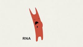 RNAi Slicing dicing and serving your cells