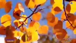 موزیک آرامش بخش«باد پائیزی Autumn Wind» جیووانی مارادی