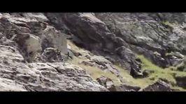 حفظ تعادل روی طناب بر فراز رشته کوه های آلپ دوچرخه
