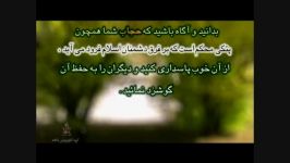 گزیده ای وصیت نامه شهید ابوالقاسم جوادی 104