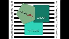 artemis group