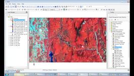 extracting spectra from ROI in ENVI