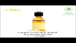 خواص روغن بابونه