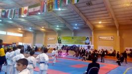 امیرحسین خاکپور کاتای امپی در مسابقات جهانی