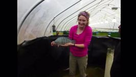 New Invention The Farming Fish Growing Aquaponics