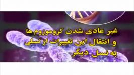 مضرات استفاده ظروف یکبار مصرف پلاستیکی