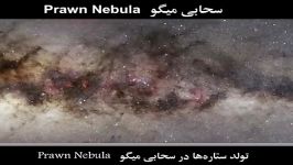 سحابی میگو Prawn Nebula