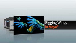 Digital Tutors  Rigging Wings in Maya