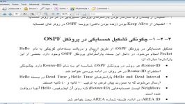 CCNA OSPF Neighborship