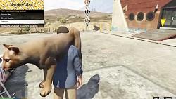 ویدئوی ماد Animal Ark Shelter برای GTA V