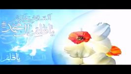 نماهنگ گل نرجس، آبروی دو عالم