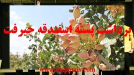 چکیده اخبار تصویری سایت دقیانوس