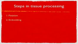 tissue processing for light microscope