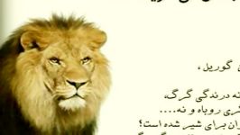 حیات وحش....چرا به شیر سلطان جنگل میگویند