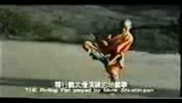 shaolin kungfu