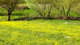 کلیپی زیبا طبیعت روستای دل پدرام ابراهیمی