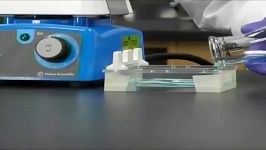 Principles of Gel Electrophoresis