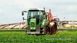 Strawberries Spraying w Special Widontec Fendt 312 Var