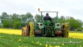 Fendt F 231 GT  Tulpen koppen Topping tulips in Holl