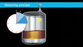 Levelflex Endress Hauser Think beyond