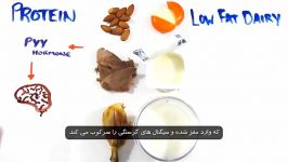 علم درباره کاهش وزن چه می گوید؟