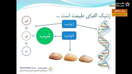 آموزش عملی الگوریتم های ژنتیک در متلب 1