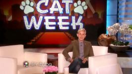 Ellens 6th Annual Cat Week Is Here