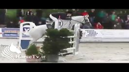 پرش اسب عرب سفید در مسابقات پرش اسب