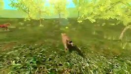 Wild Cougar Sim 3D