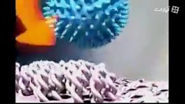 توپ های خشک کننده نرم کننده Dryer Balls نیک تگ