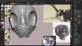 The Gnomon Workshop  Hyper real Insect Design