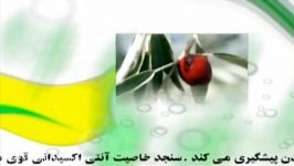 خواص بی نظیر سنجد