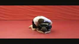 knee bar from turtle guard3