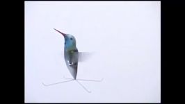 Darpa Hummingbird Drone