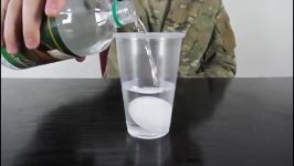 10 Amazing Science Experiments you can do with Eggs