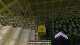 کاستم کامندMinecraft  GETTING STUNG BY A BEE