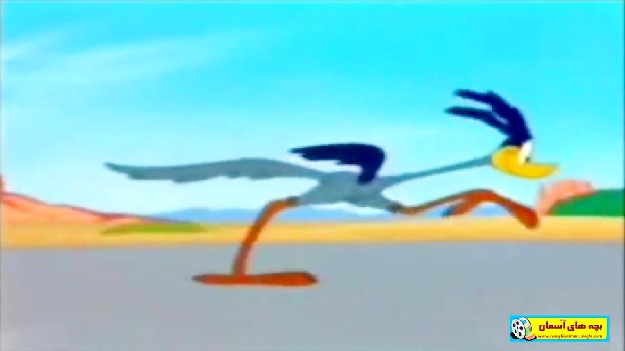 قسمت آخر میگ میگ Roadrunner گرگ Coyote ـ HD