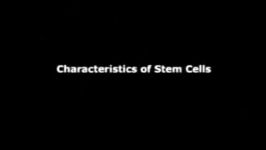 تمام آنچه باید در مورد سلول های بنیادی بدانید
