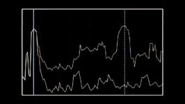 The Black Scholes Model