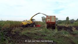 Harvesting mais in extreme mud