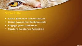 Cat PowerPoint Template