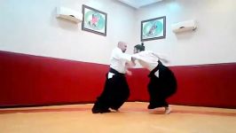 جودان تسوکی جیو وازا  www.parsianaikido.com 