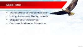 free united states bald eagle powerpoint templete