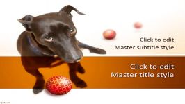 تم پاورپوینت رایگان Adopt a Dog PowerPoint Template