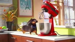 The Secret Life Of Pets Official Trailer