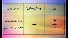 واژگان مشترک زبان لری زبان منطقه سیستانکلیپ شماره2